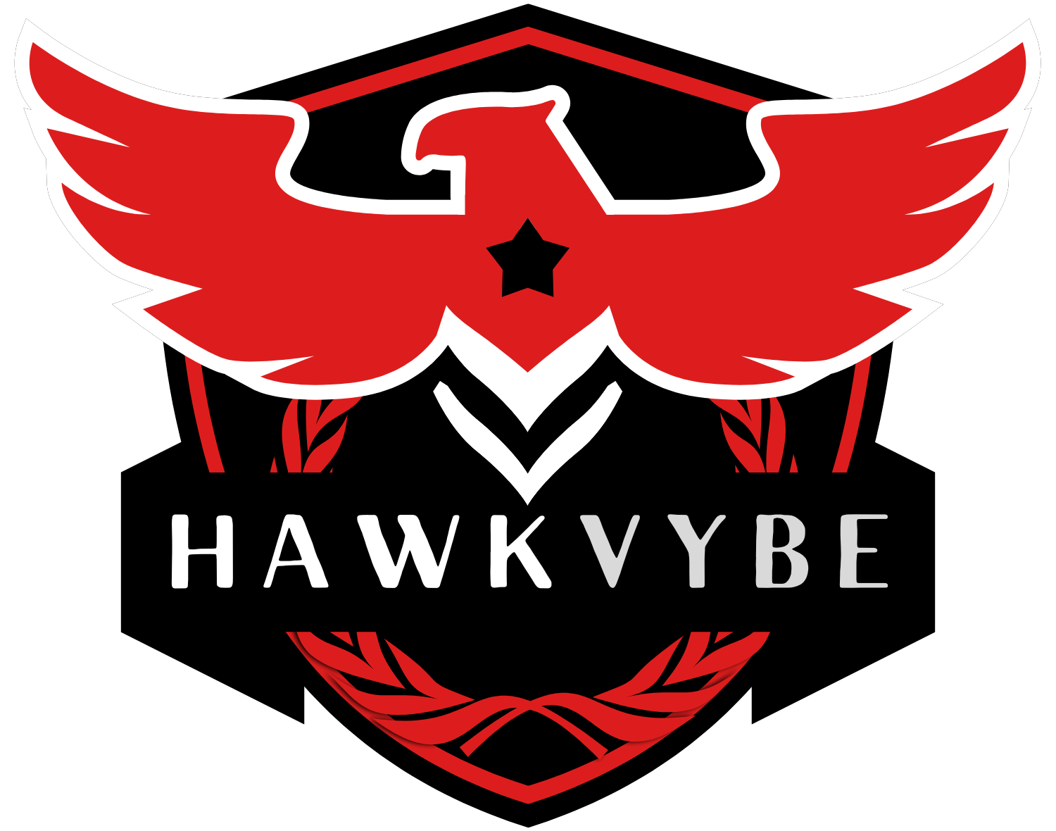 HAWKVYBE